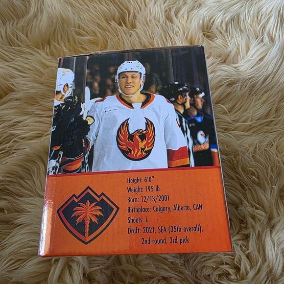Coachella Valley Firebirds Ice Hockey Ryan Garth Evans Collectable Bobblehead - Picture 6 of 7